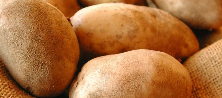 A New Zealand agritech startup helping US potato farmers just listed on the ASX