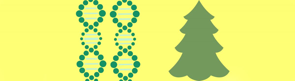 Have a Merry Biotechnology Holiday