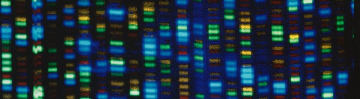 Warning primary sector will miss out if gene editing not allowed