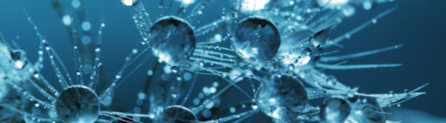 BioTech Newsletter