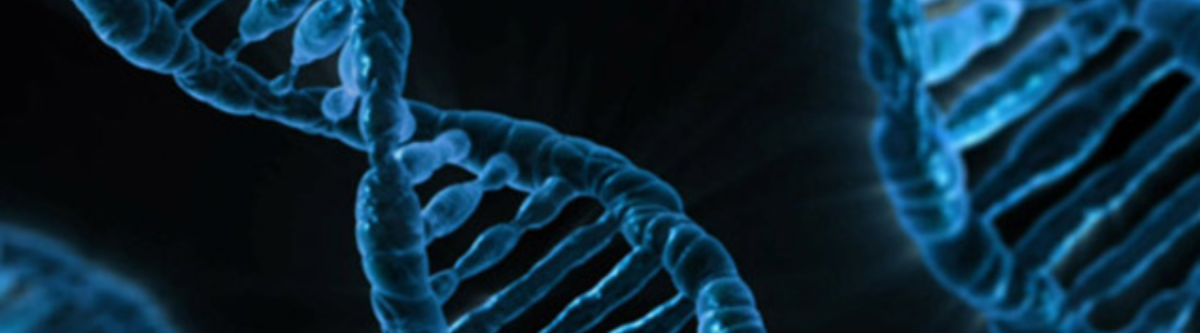 BioTechNZ: “It’s time to reconsider gene modification’s role”
